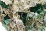 Aragonite Encrusted Fluorite Crystal Cluster - Rogerley Mine #143056-1